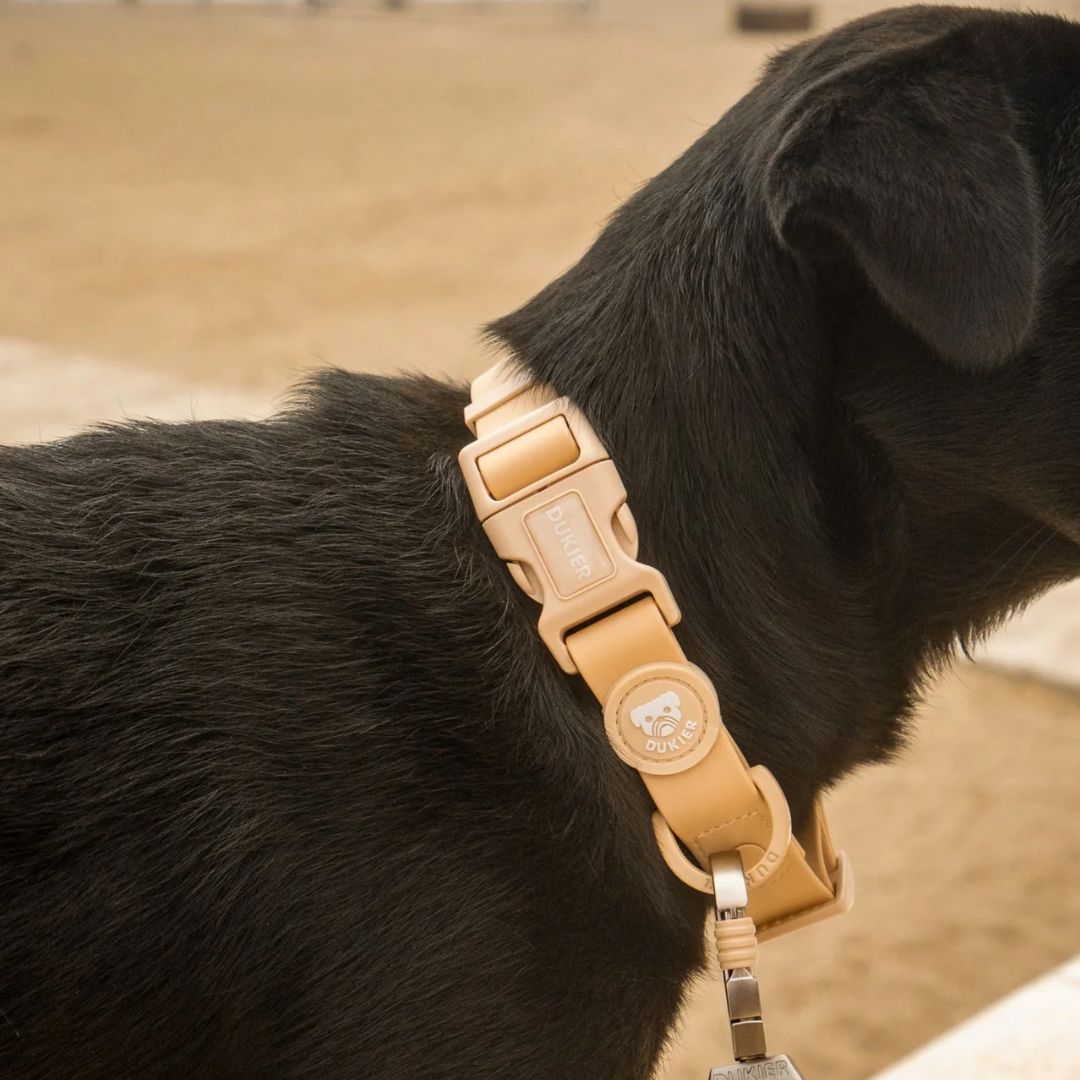 Duvo+ Forest Collar Beige - Dog Collar 65CmXØ15Mm