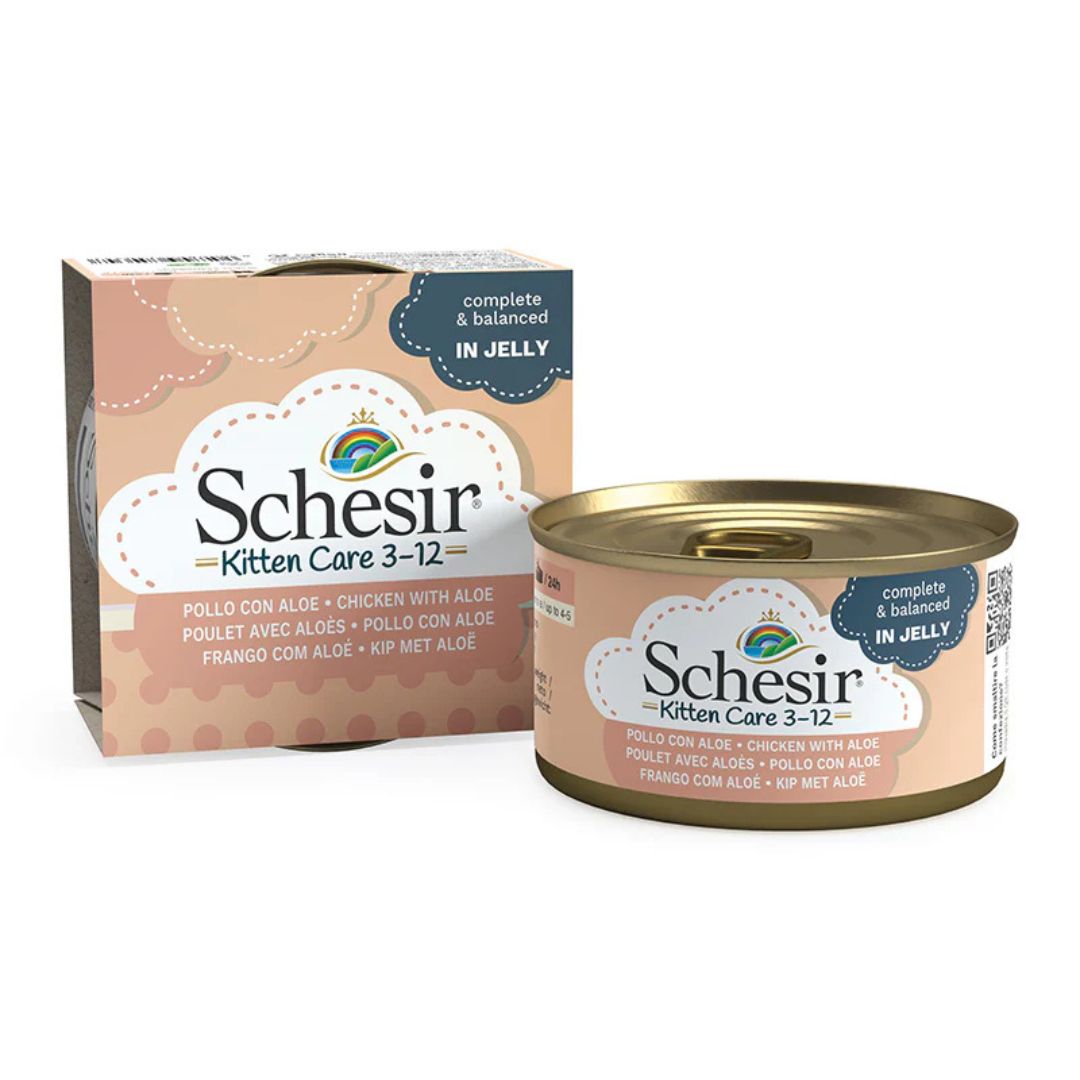 Schesir Kitten Care- Can In Jelly  3-12 Chicken with Aloe Wet Food 85g