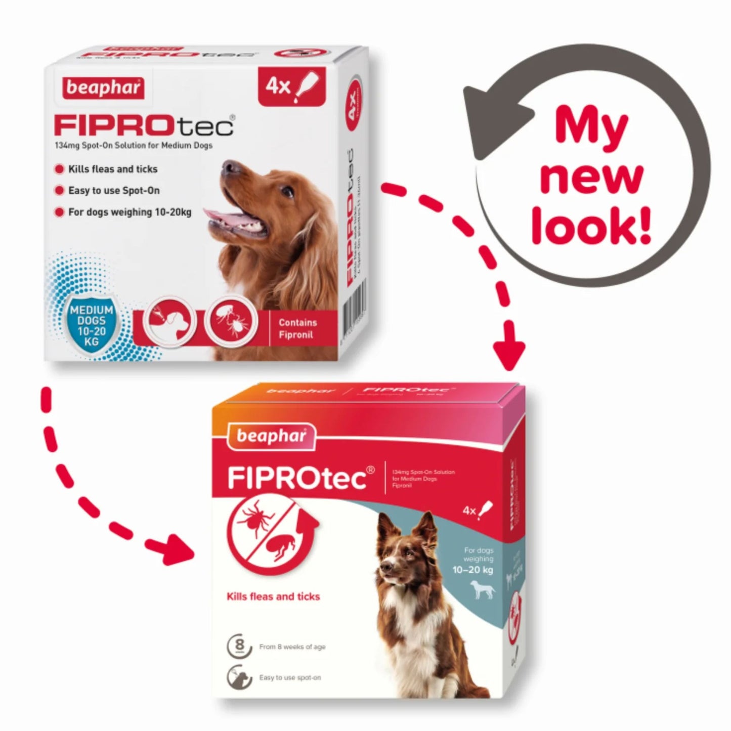 Beaphar Fiprotec Spot-On For Medium Dog - 4 Pipette