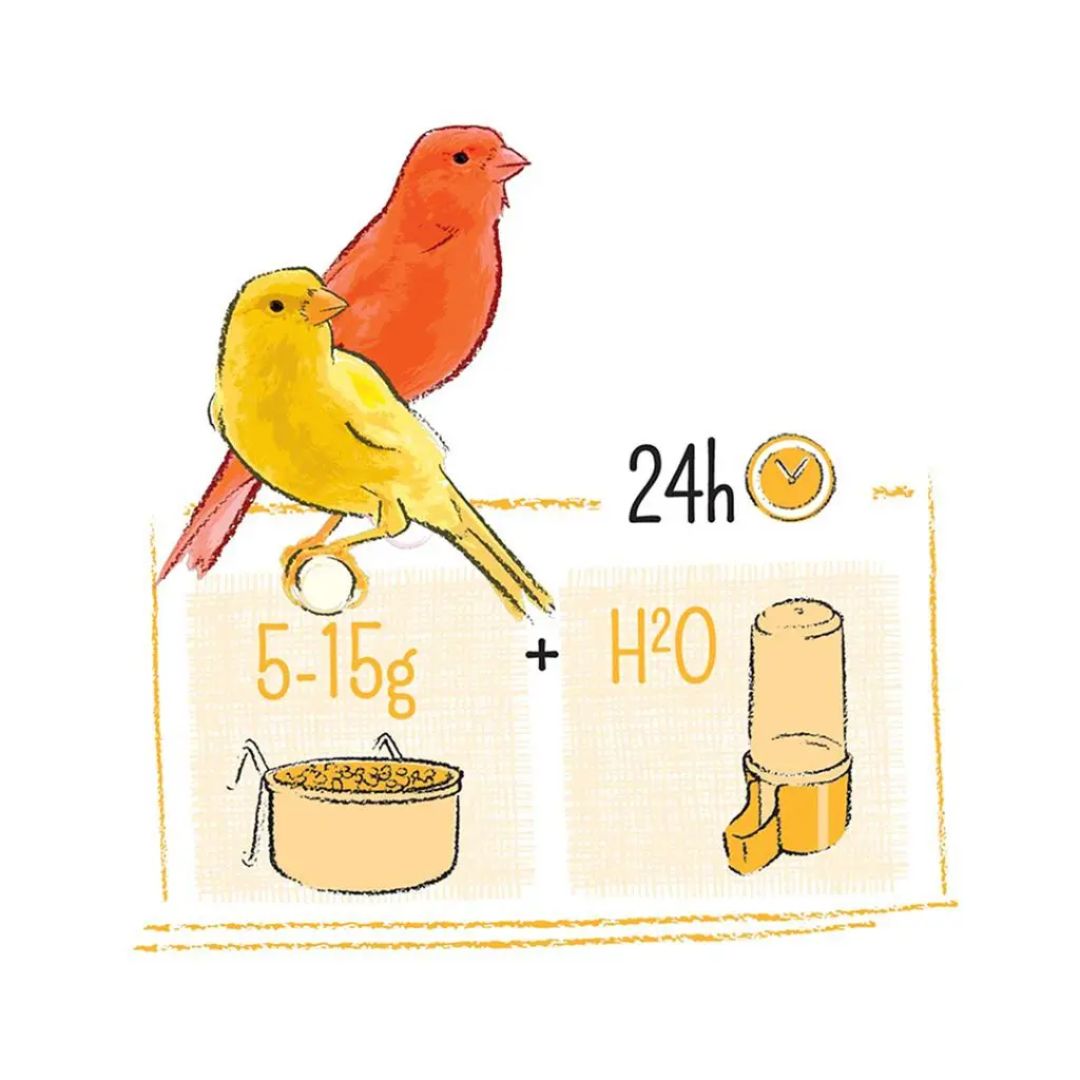 Witte Molen Puur Canary Food – 2Kg Balanced Formula