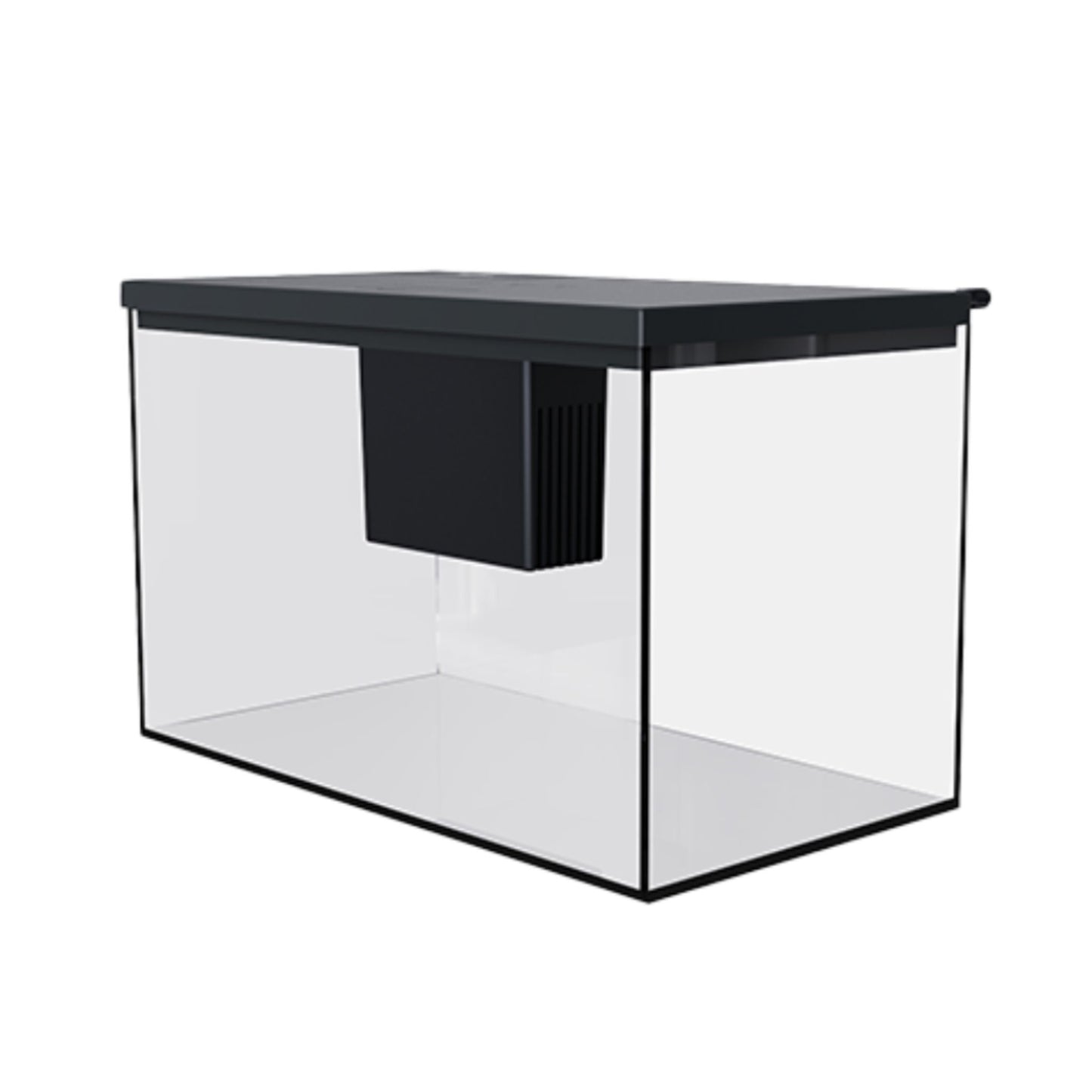 Clear aquarium with black lid on a white background
