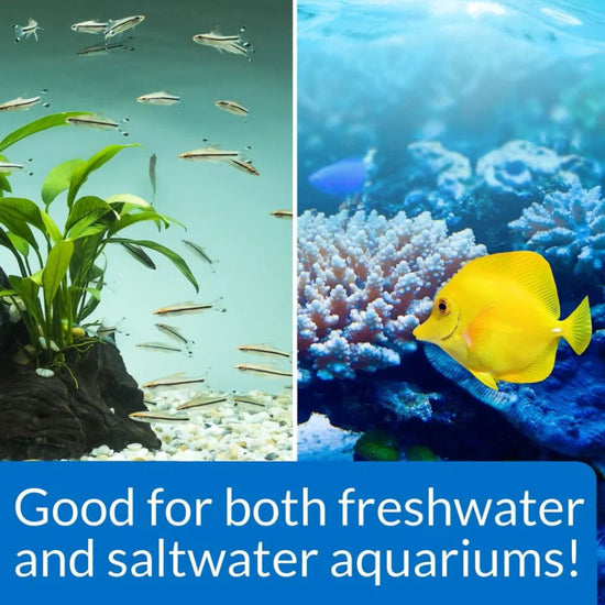 API Fish Water Treatment - Buy in Online