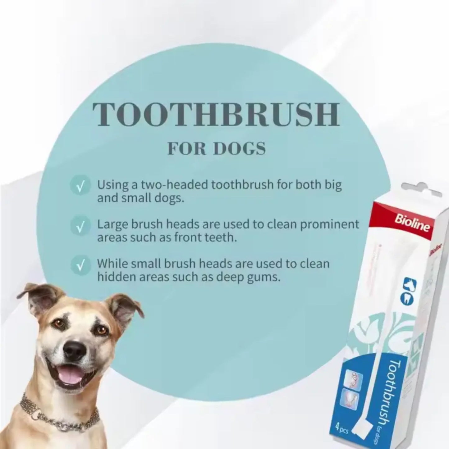 Bioline Dog Toothbrush Set