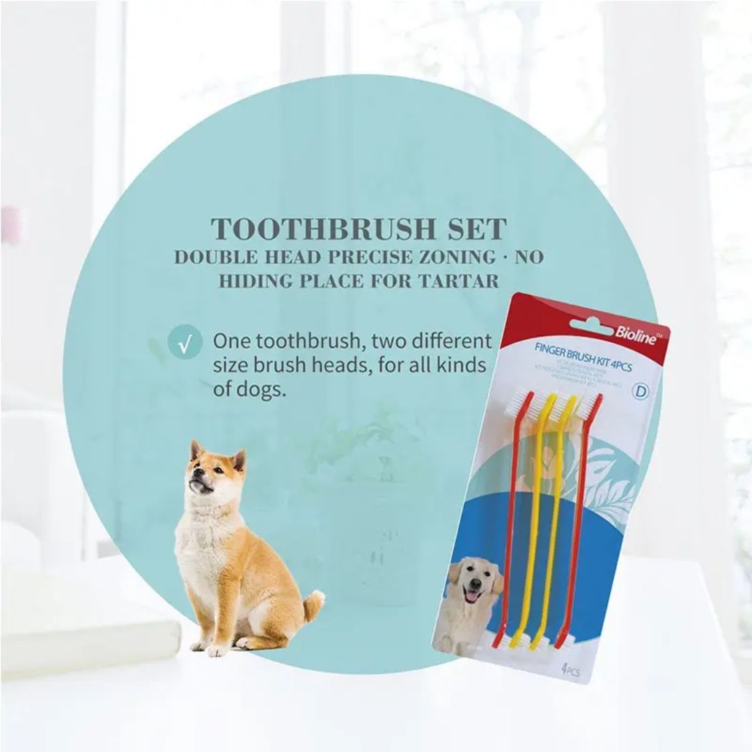 Bioline Toothbrush Set 4Pcs[Weight - 300g, Count - 4]