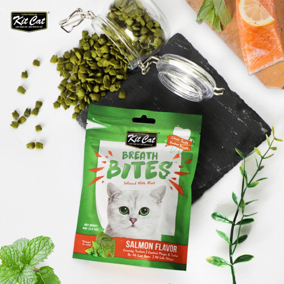 Breath Bites Dog Treats – Salmon Flavor – 60g Dental Chews