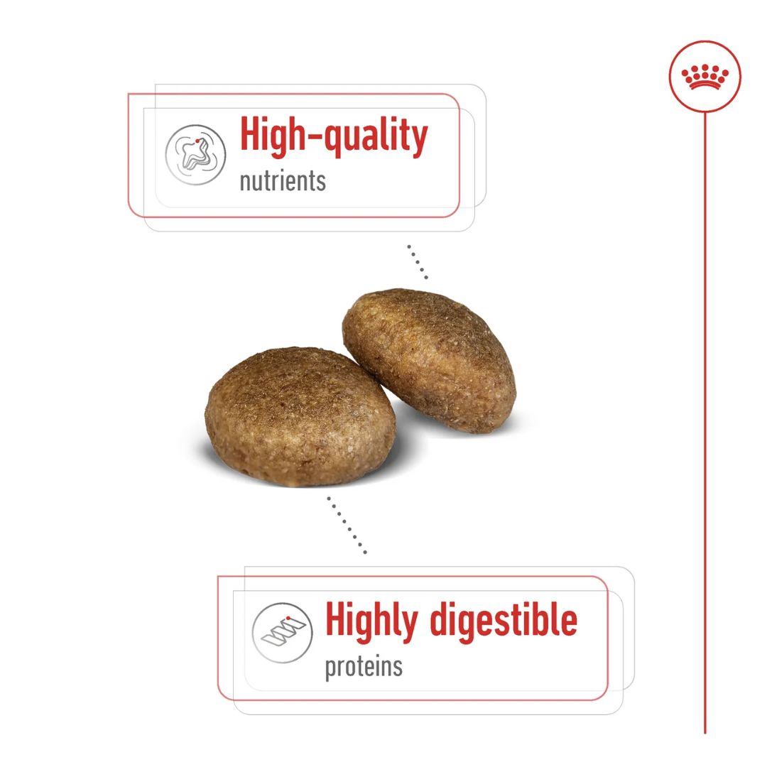Royal Canin Size Health Maxi Adult Dry Dog food 10kg