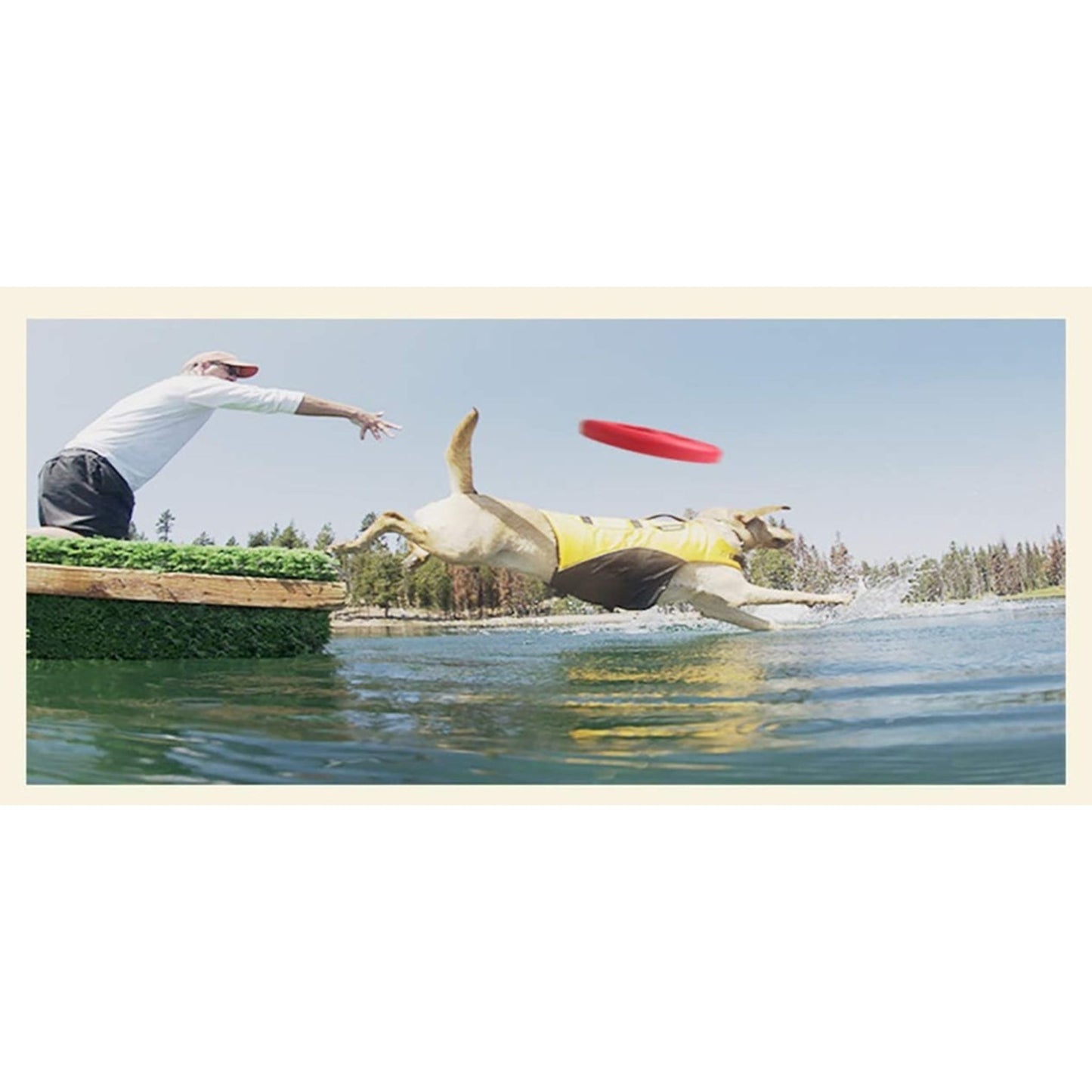 Dog leaping into water to catch a red frisbee with a person on a dock in the background.