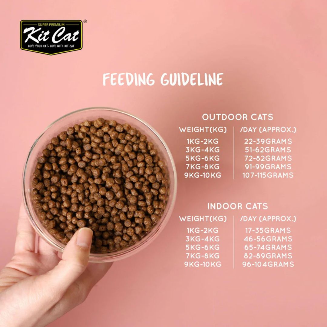 Kitcat No Grain Chicken Salmon 1Kg