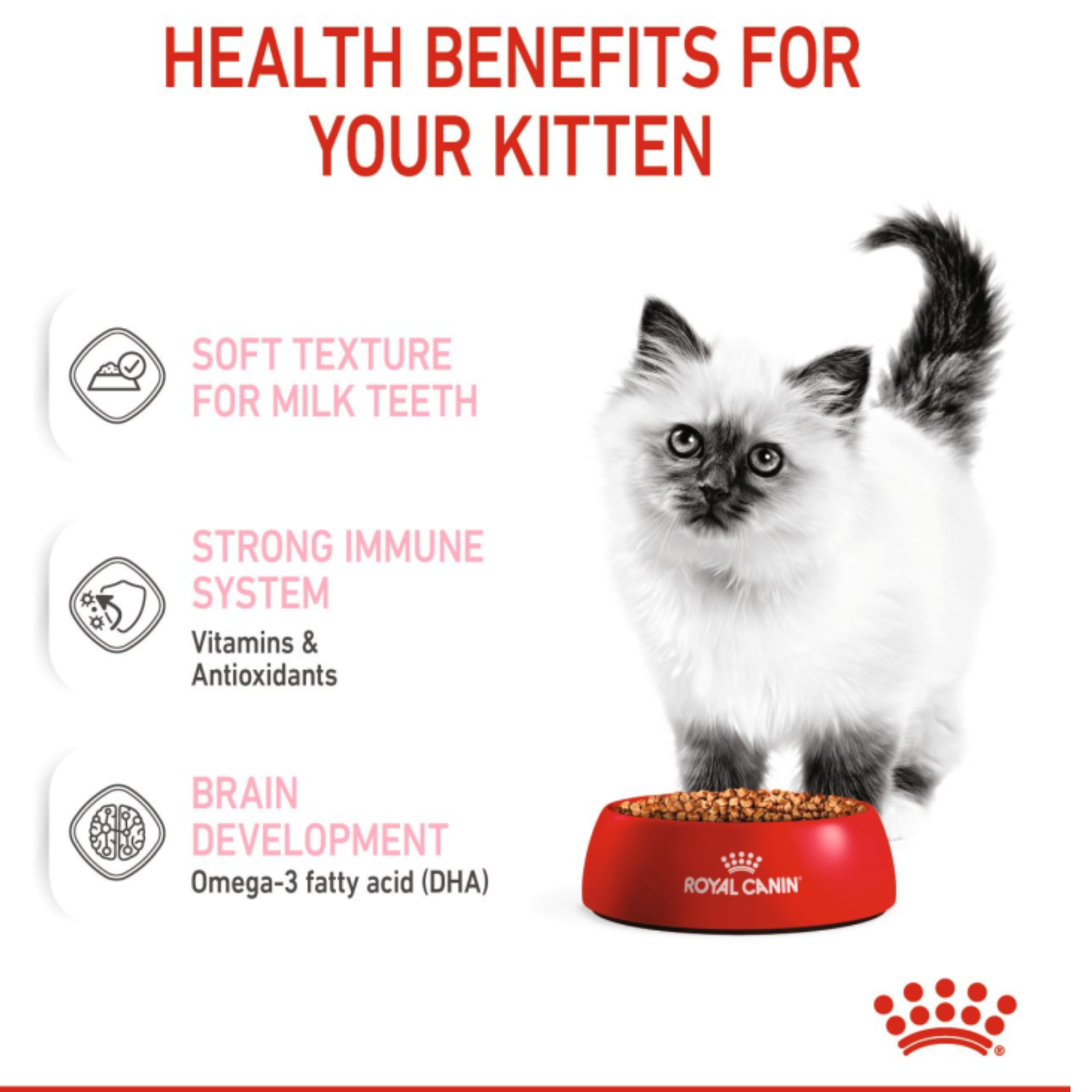 Royal Canin Feline Health Nutrition Kitten Gravy Wet Food