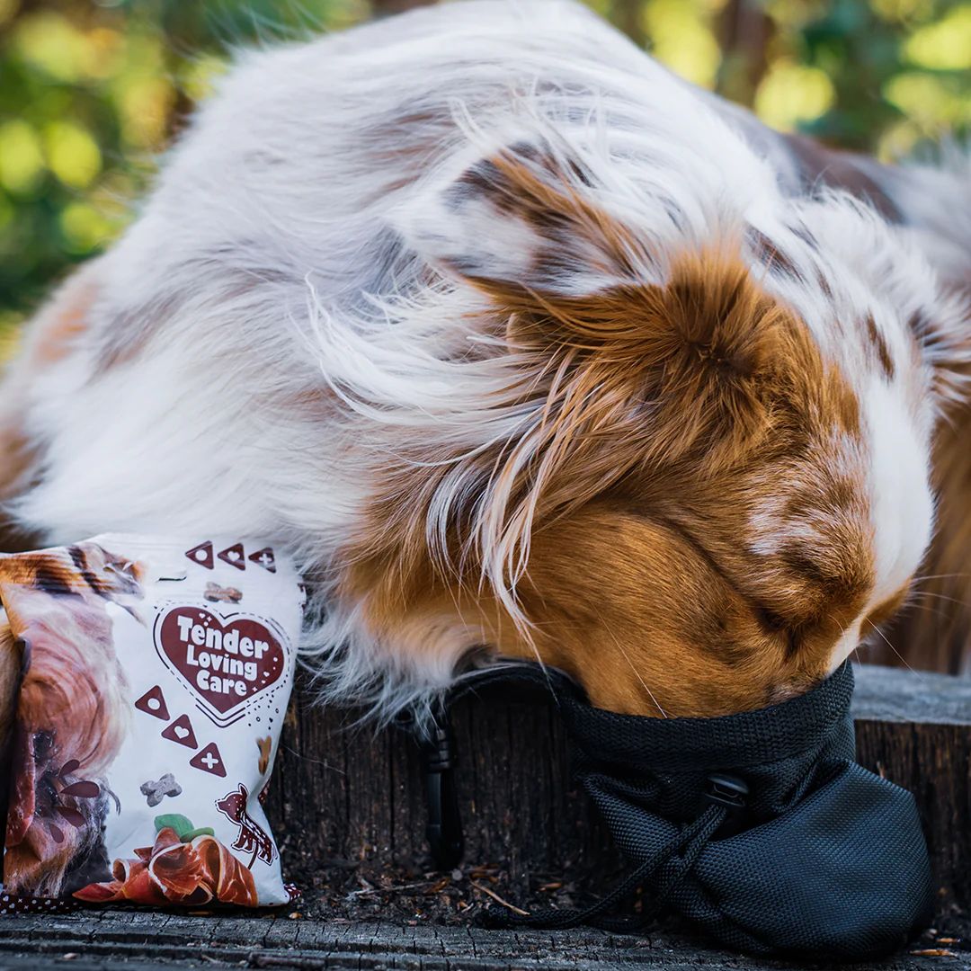 Duvo+ Soft Liver Snack for Dogs – 100g