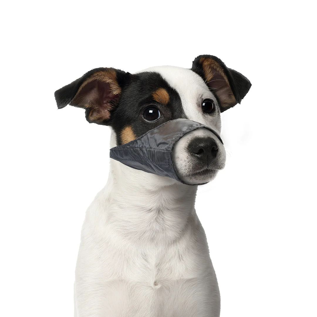 Duvo+ Dog Muzzle Nylon[Dimension - 53-77cm]