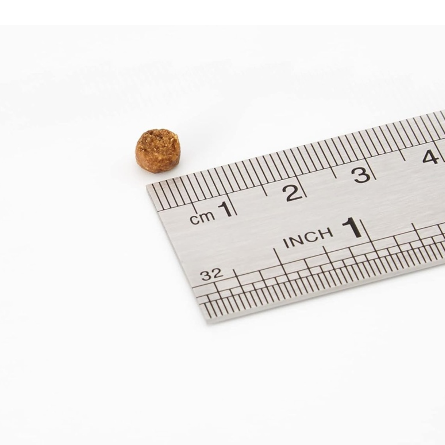 Schesir Adult Dry Cat Food - Chicken Maintenance - 10kg