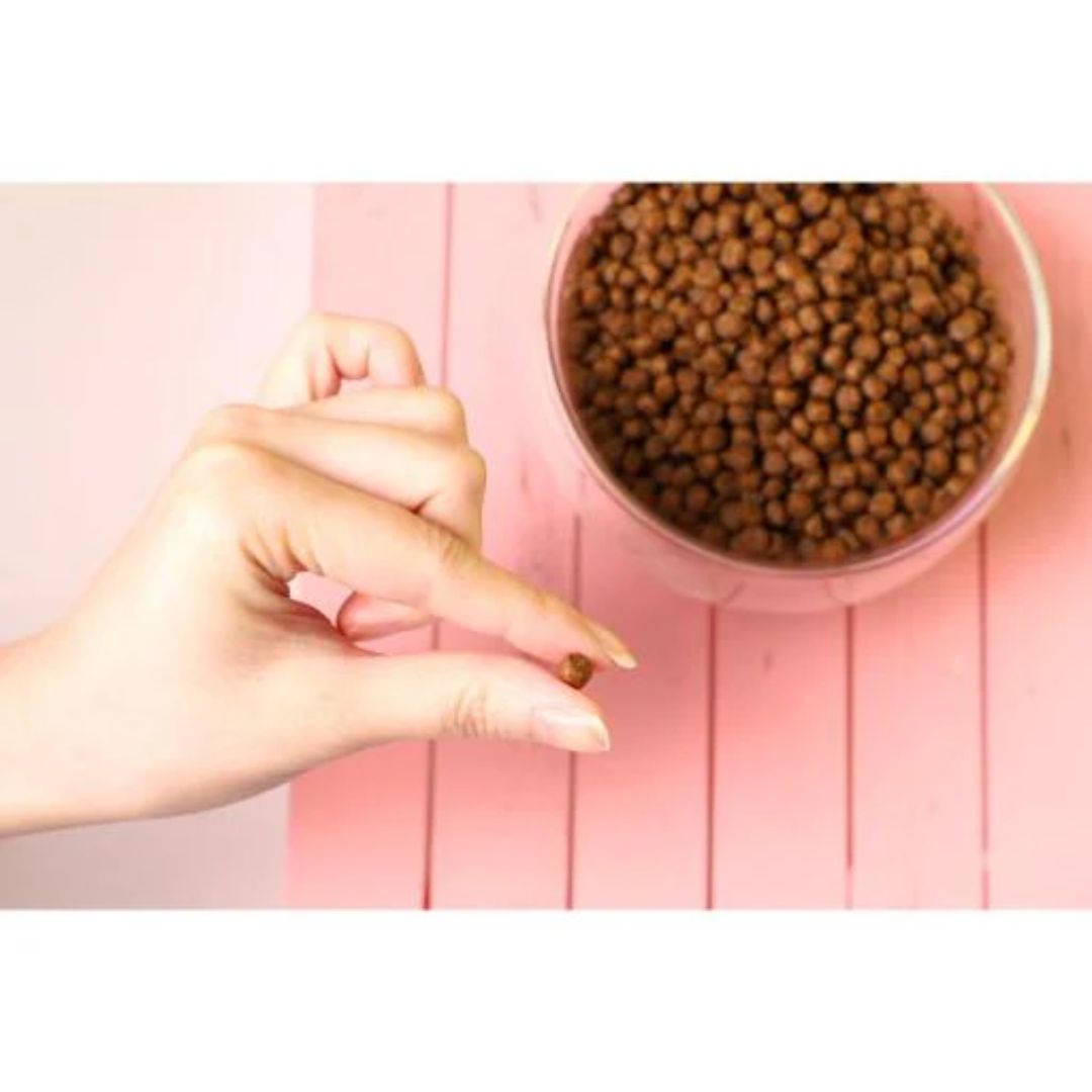 Kit Cat No Grain Tuna & Salmon 1Kg
