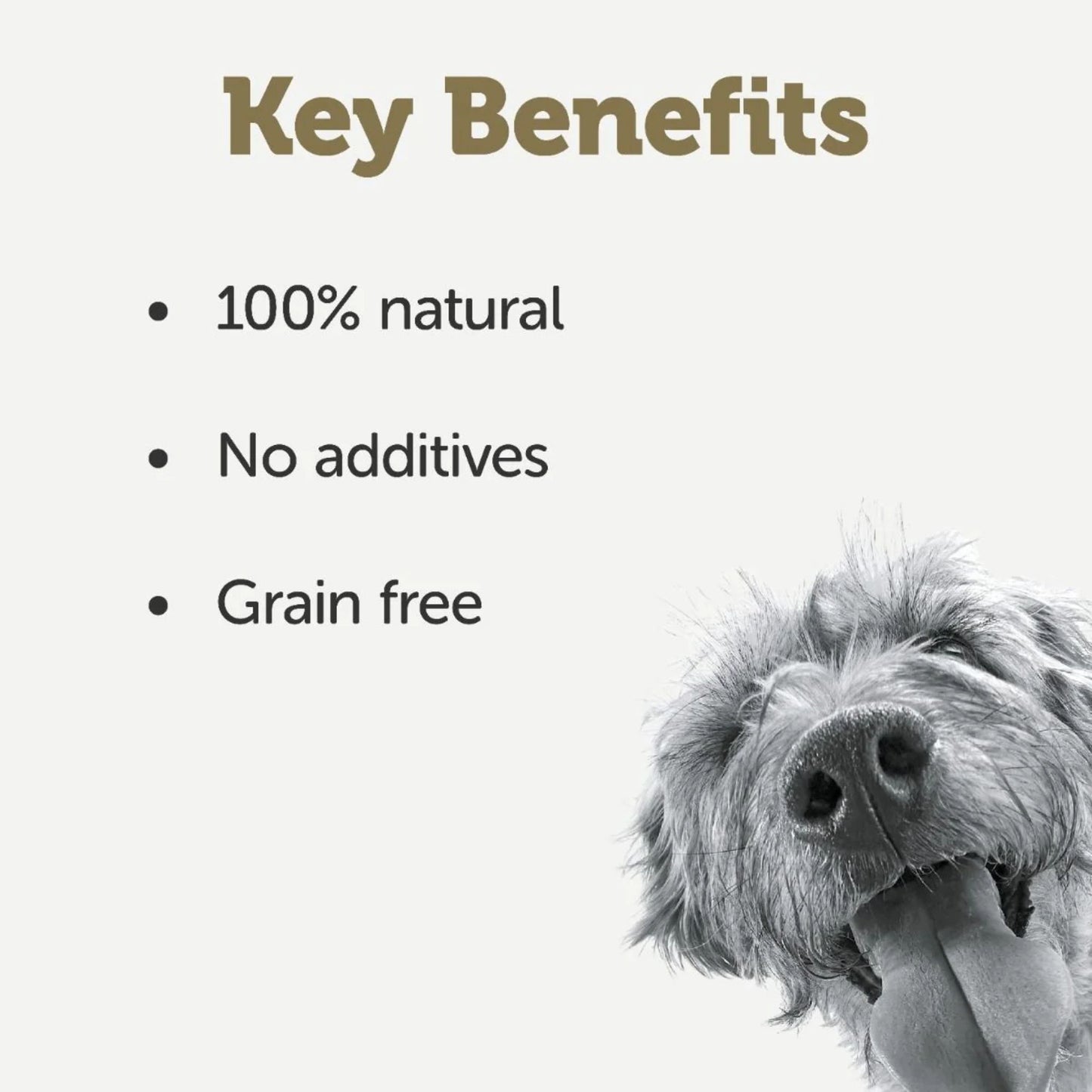 Dog with text listing key benefits on a white background