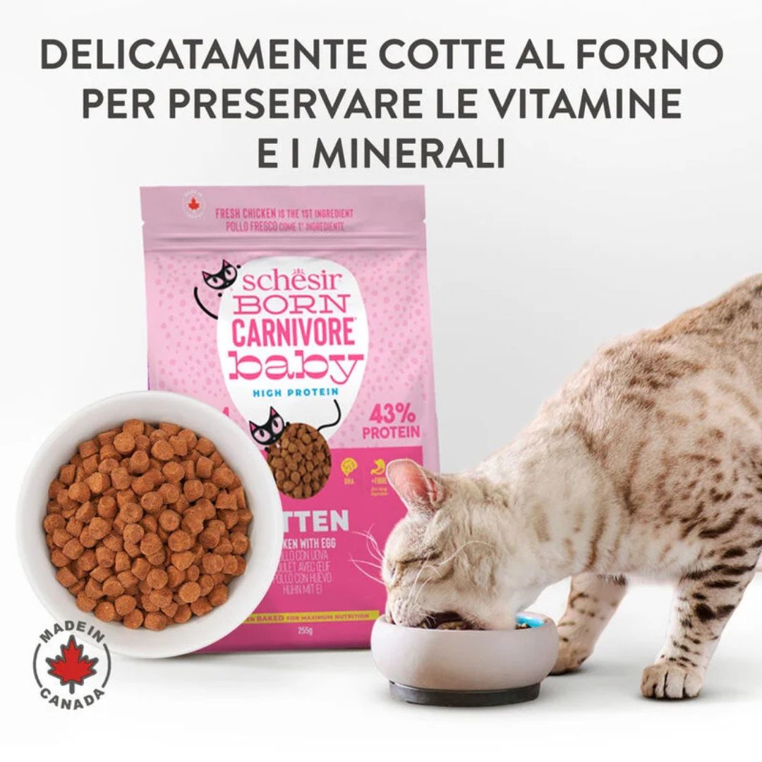 Schesir Born Carnivore Kitten Chicken & Egg Dry food 1.25kg