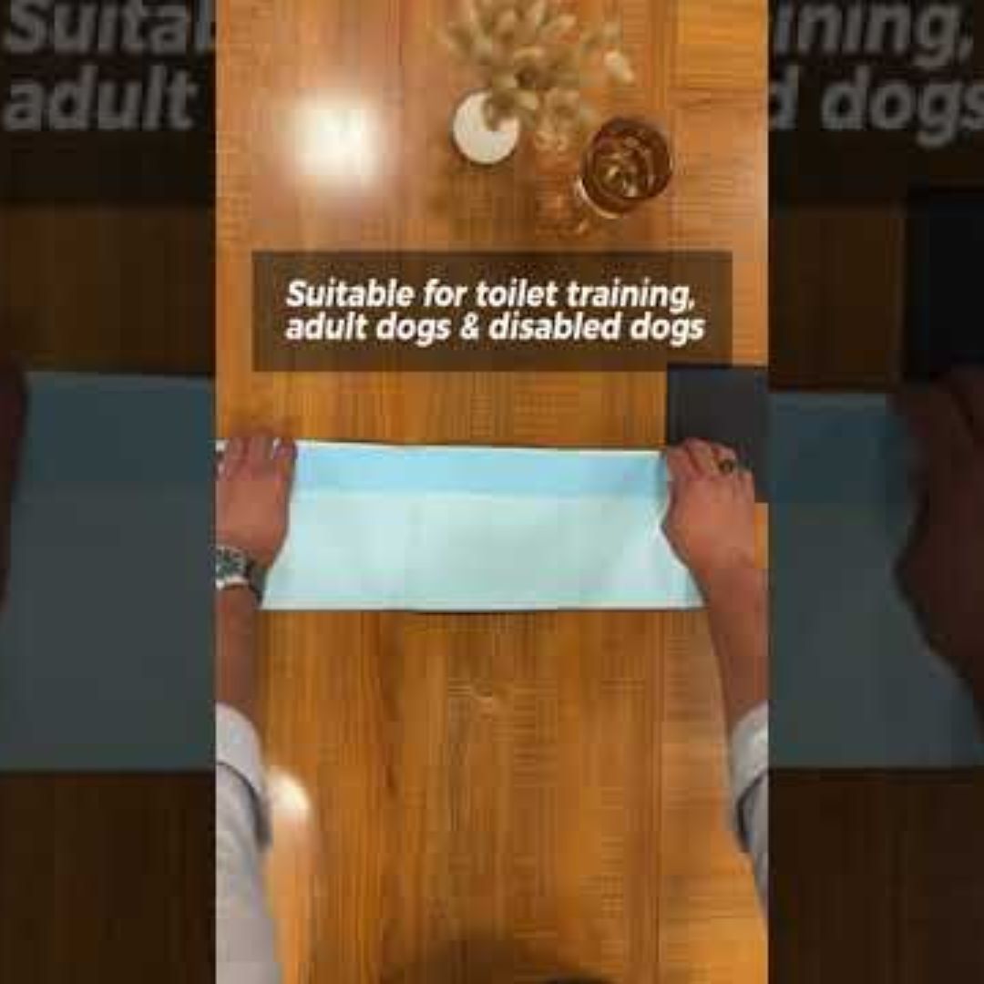 Duvo+ Pet Pads Premium XL – 60x60cm, Odour Control, 30pcs