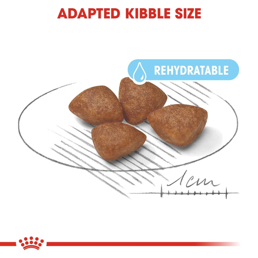 Royal Canin Size Health Mini Starter Dry Dog Food 1kg