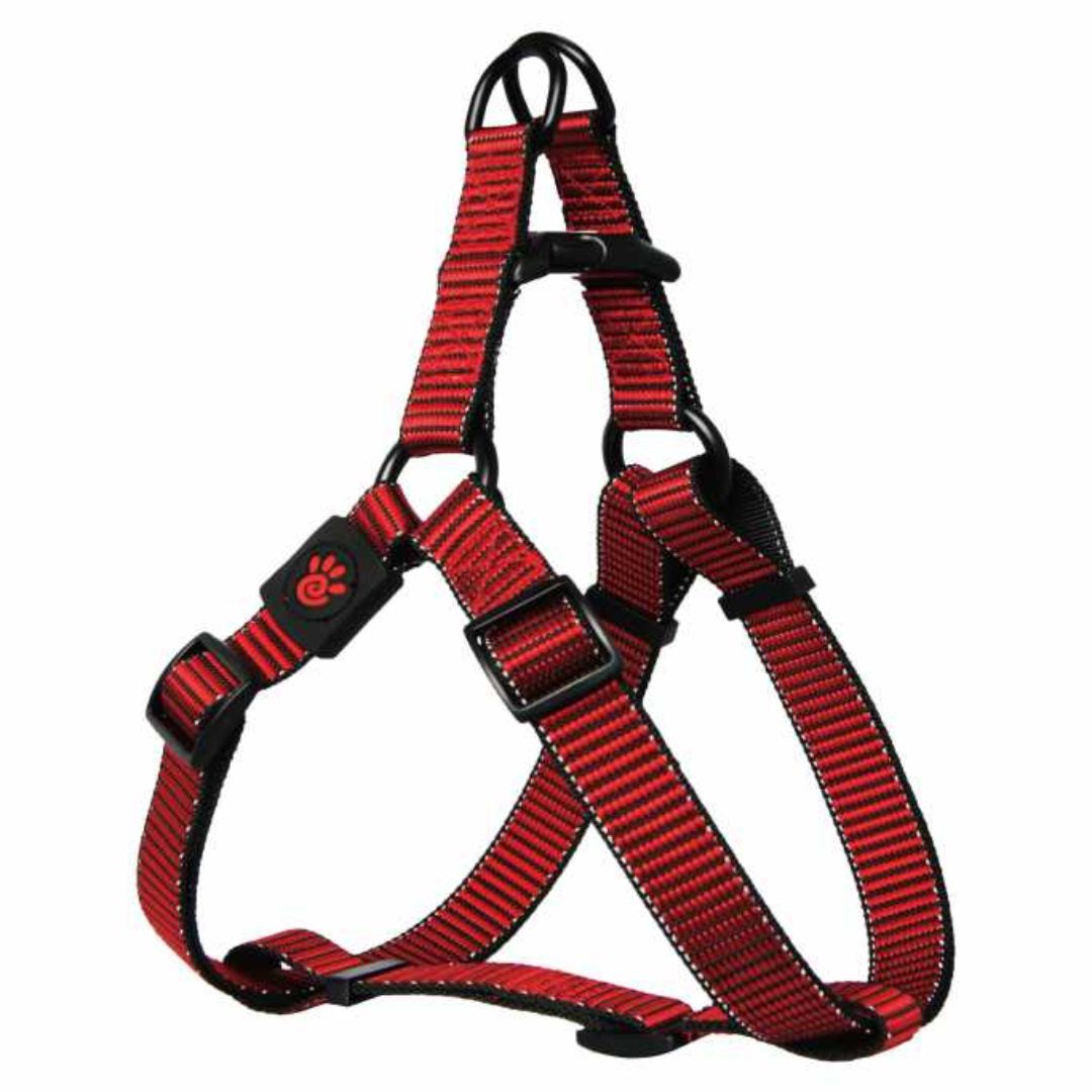 Doco Martini Bean Harness