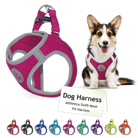Doco Athletica Quick Fit Mesh Harness - Dca306