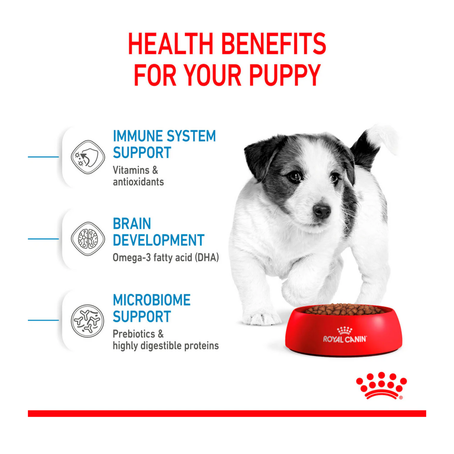 Royal Canin Size Health Mini Indoor Puppy Dry Food 1.5kg
