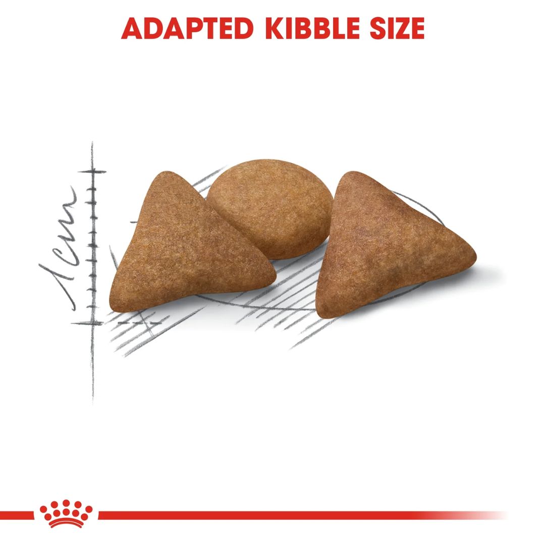 Royal Canin Feline Health Indoor Appetite Control Cat Dry food 2kg