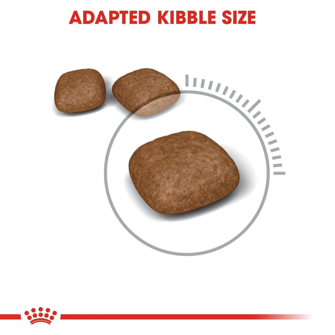 Royal Canin Feline Care Nutrition Urinary Care Cat Dry food 400g