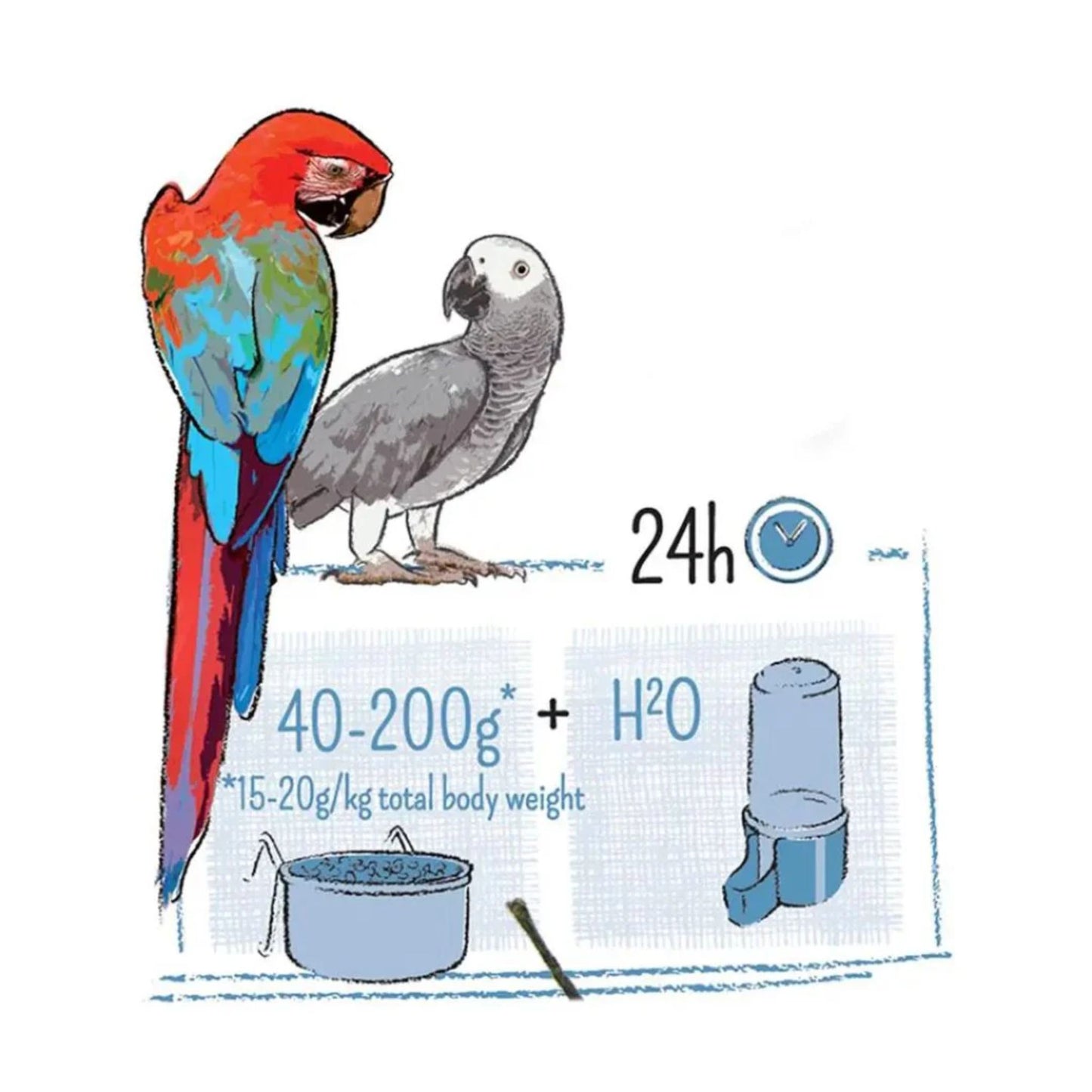 Witte Molen Puur Parrot Food – 2Kg Balanced Seed Mix