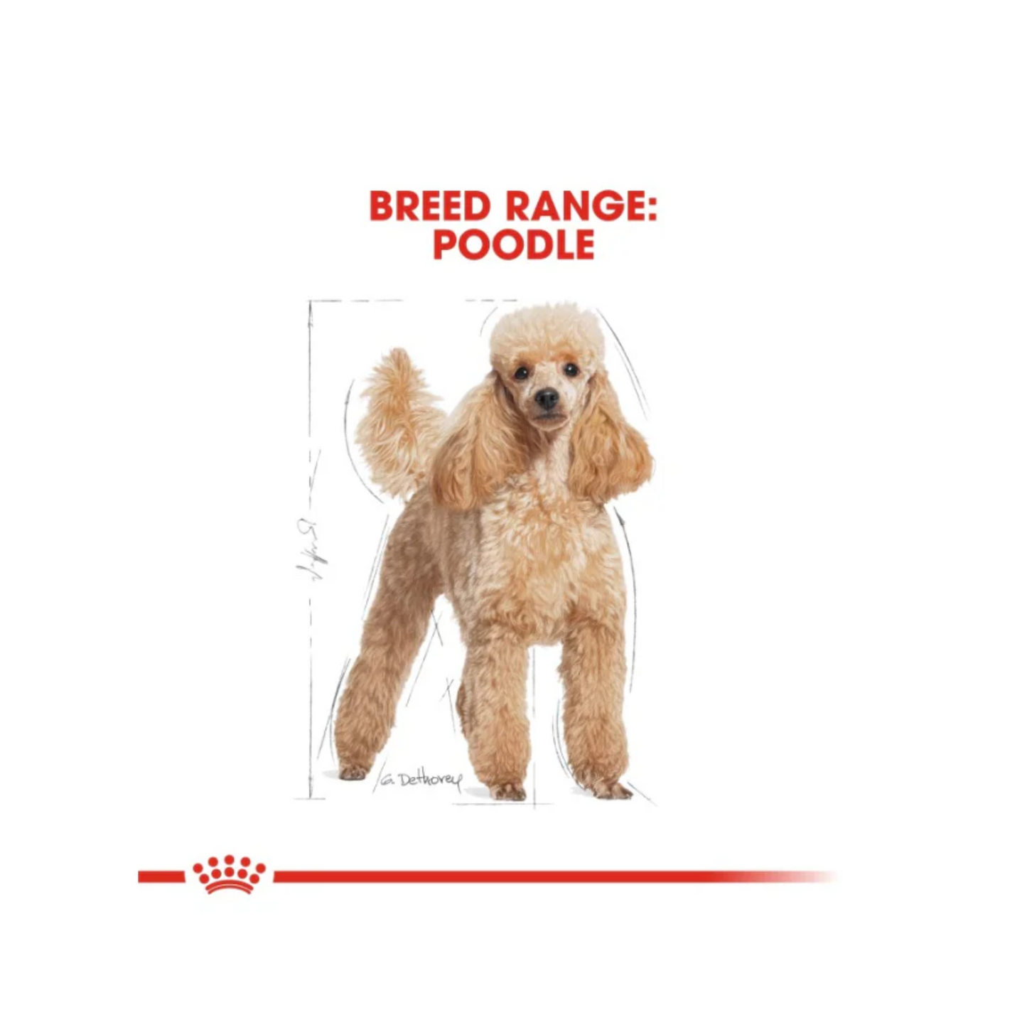 Royal Canin Breed Health Nutrition Poodle Adult (WET FOOD)