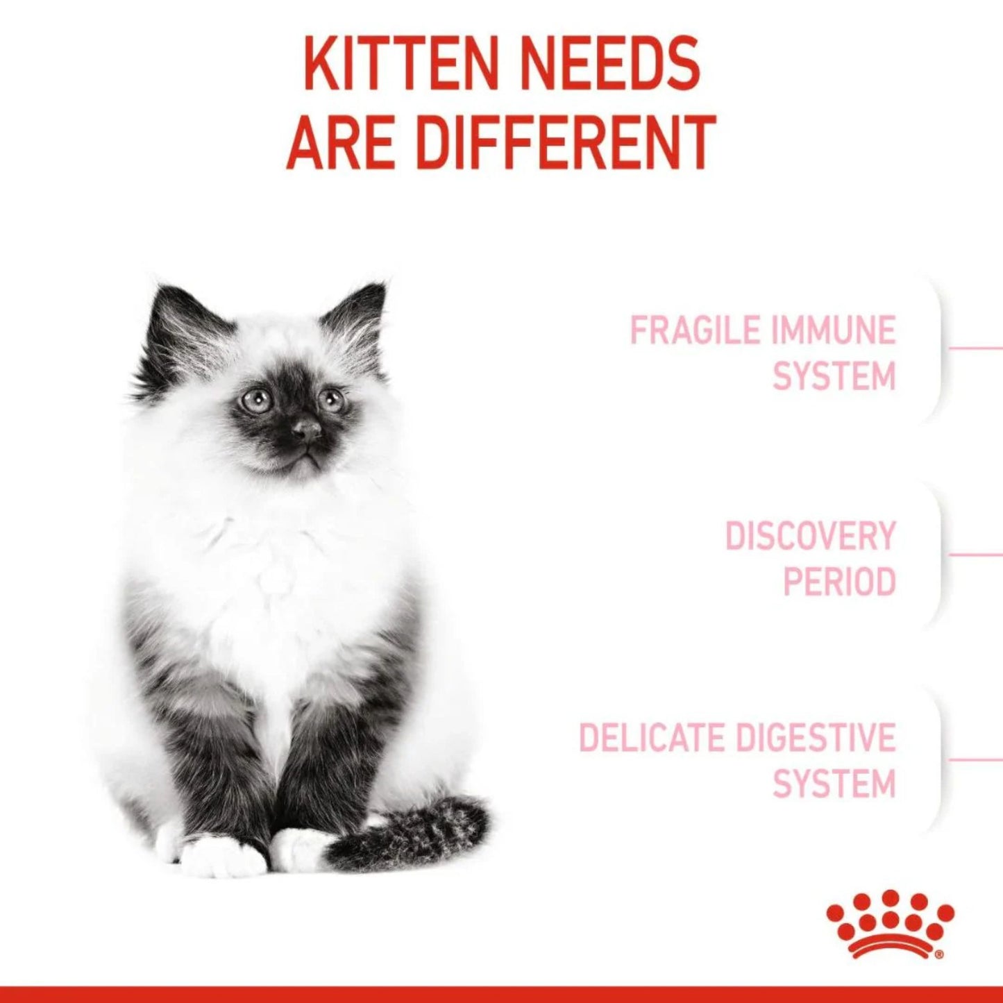 Royal Canin Feline Health Kitten Dry food 4kg