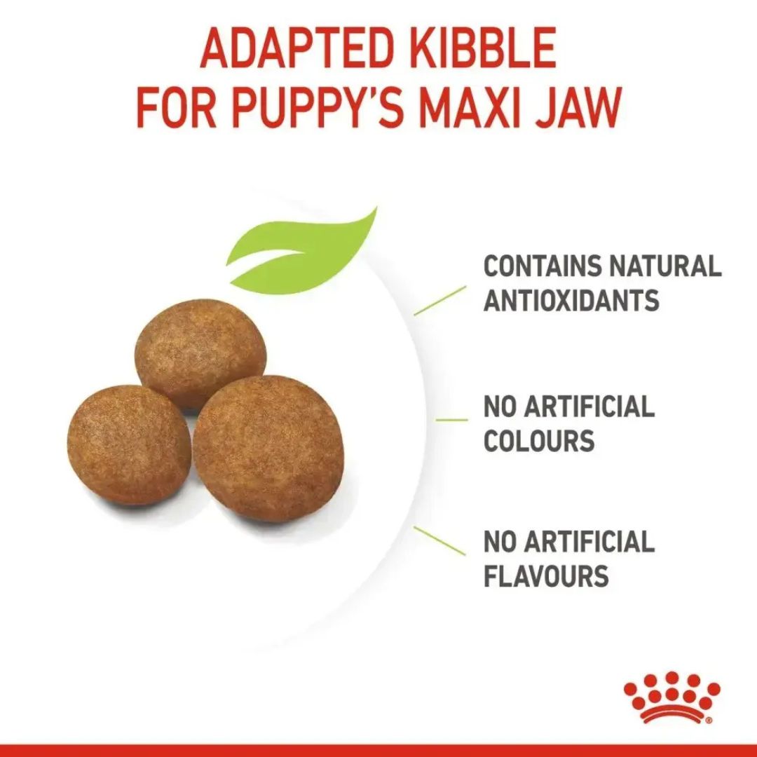 Size Health Nutrition Maxi Puppy 10 Kg
