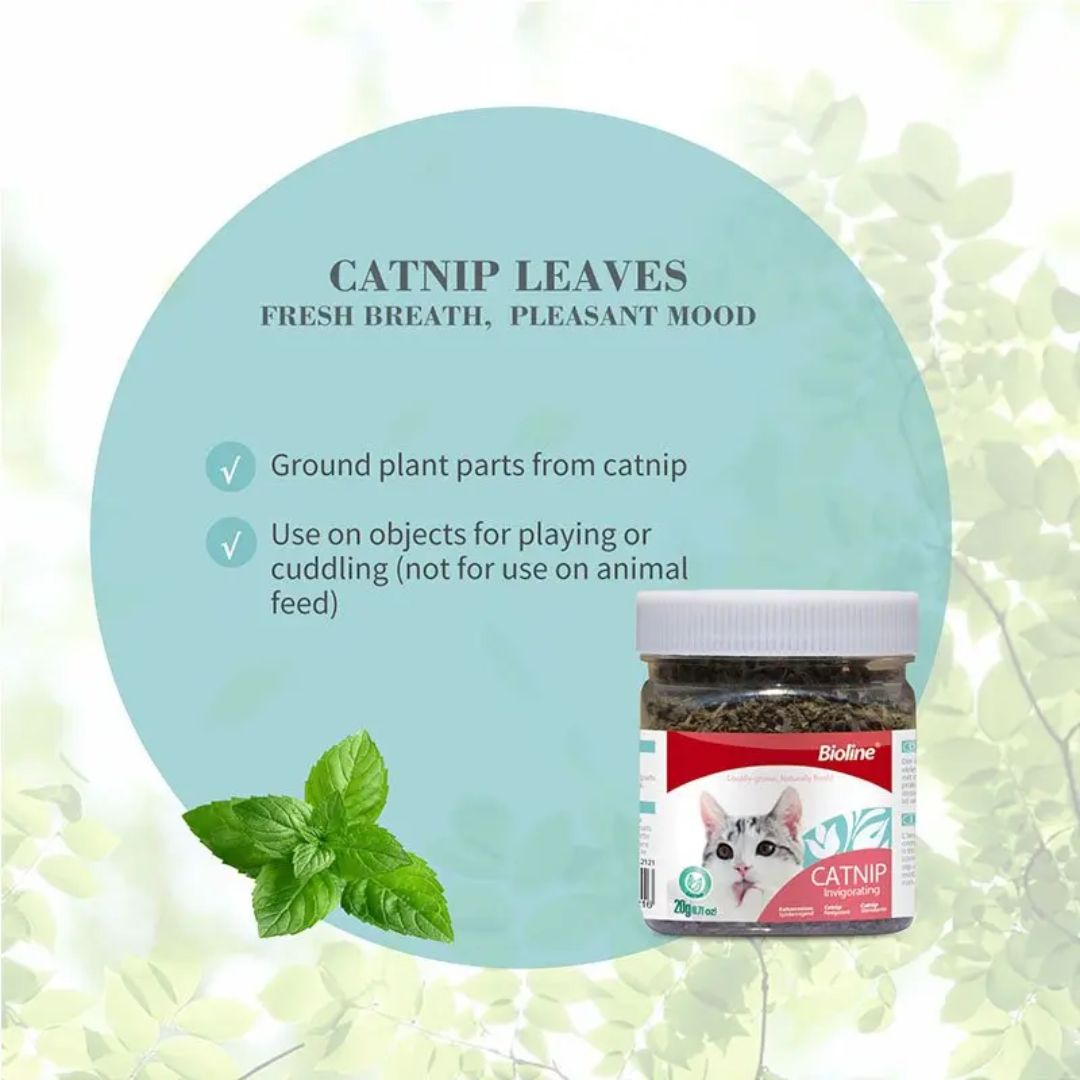 Bioline Catnip Leaves 20g Loose Leaf Natural Catnip (230ml Jar)