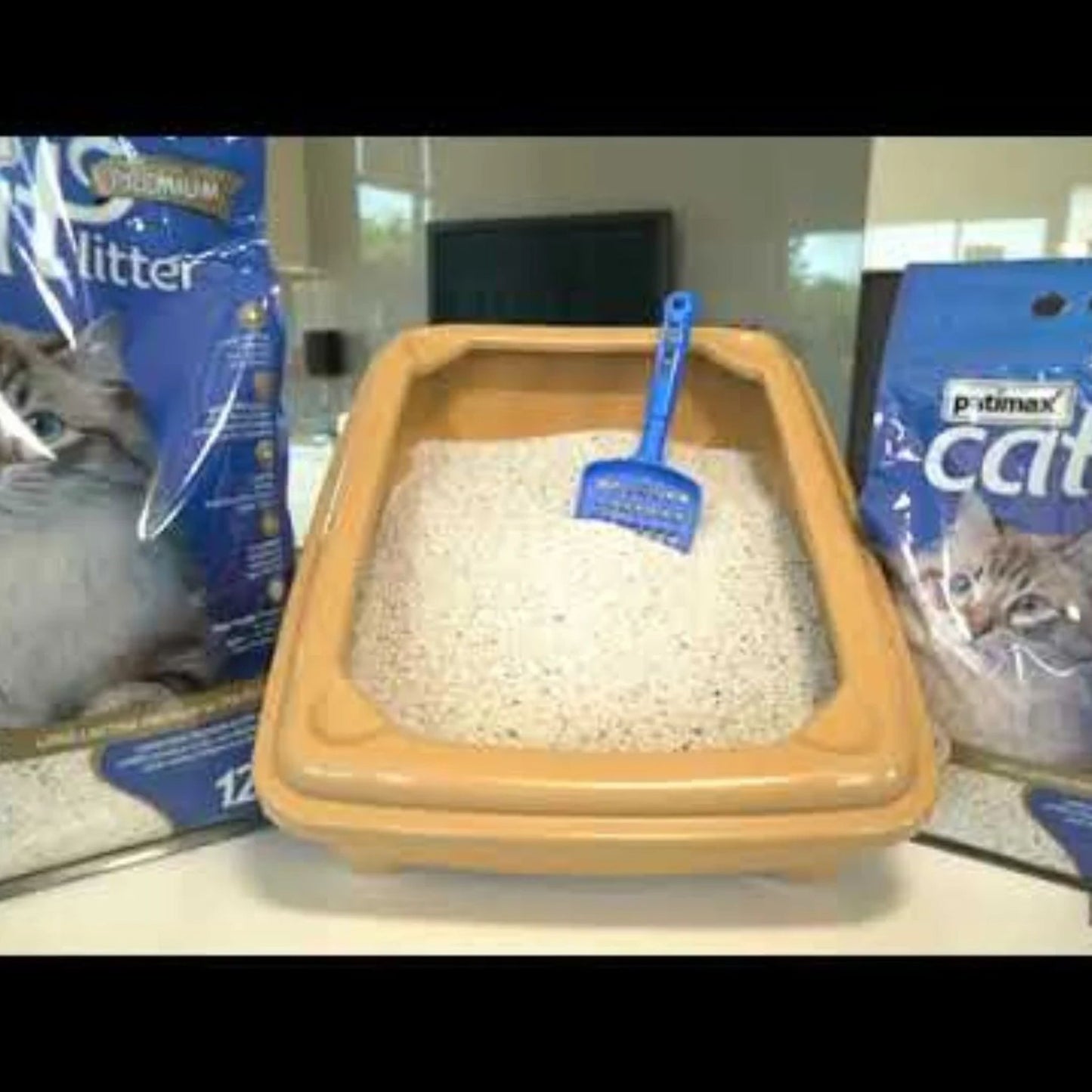 Patimax Premium Ultra Clumping Cat Litter Unscented Flavor - 6L