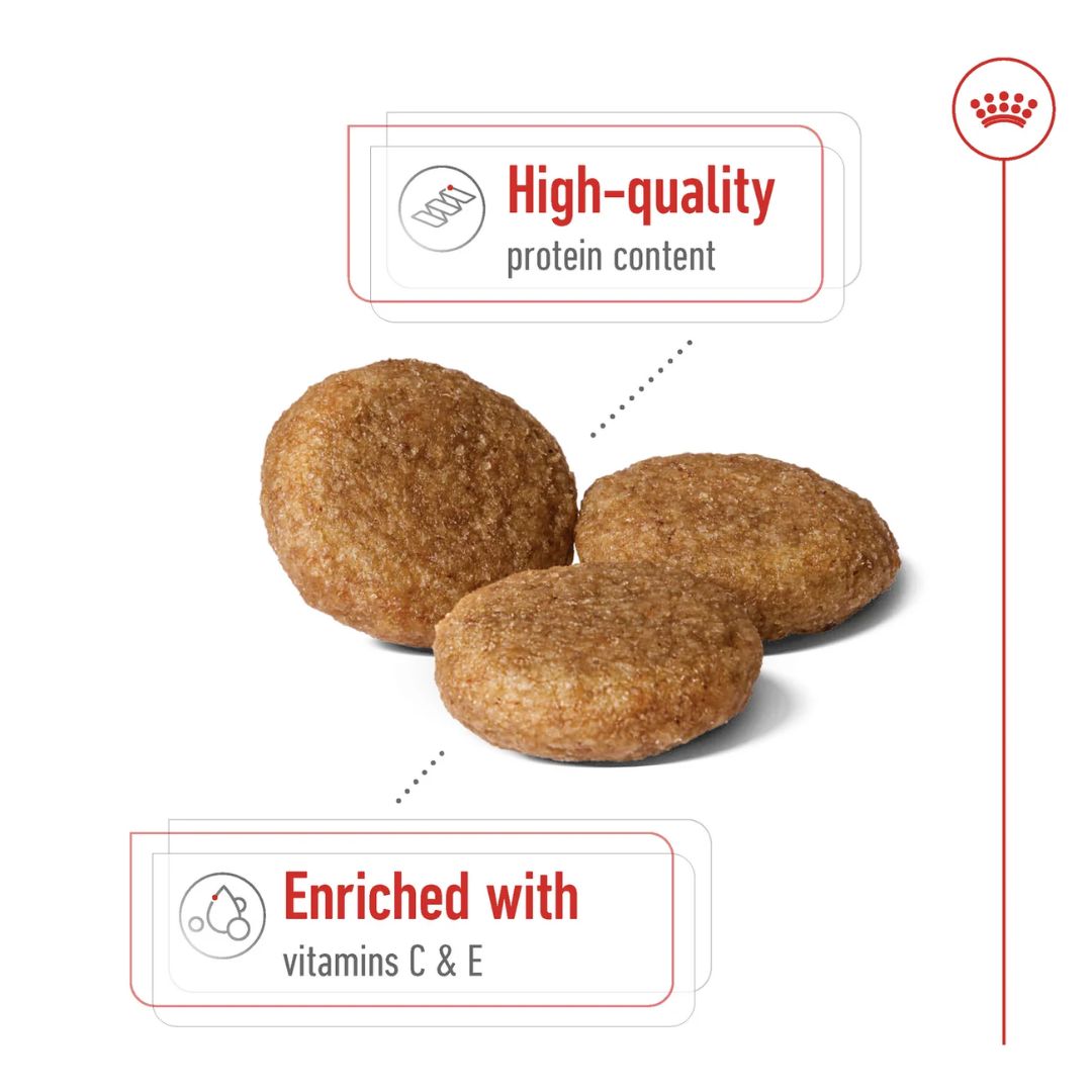 Royal Canin Size Health Medium Adult Dog Food 4KG