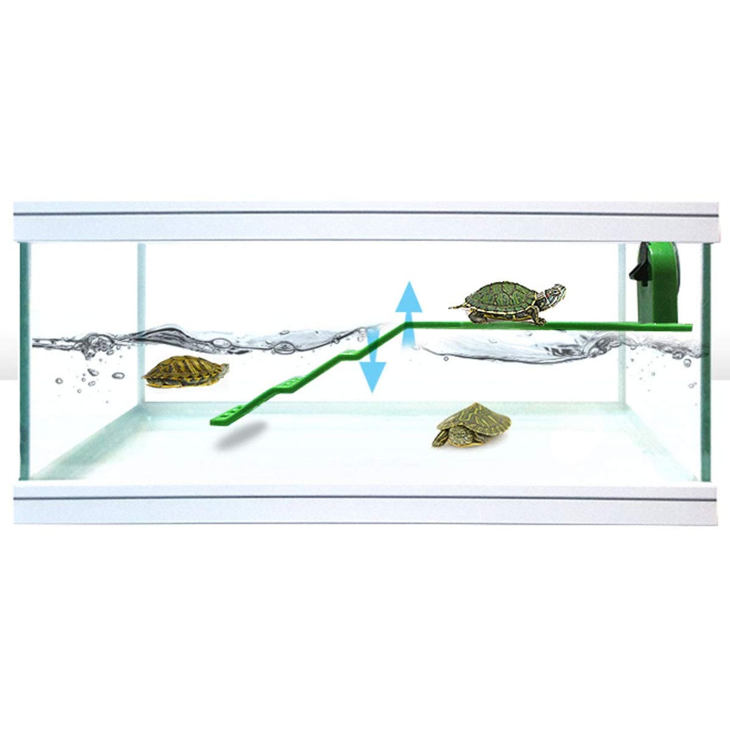 KW Zone Dophin Turtle Ladder