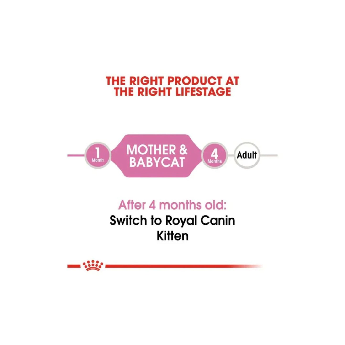 Royal Canin Feline Health Nutrition Mother & Babycat Mousse (WET FOOD )