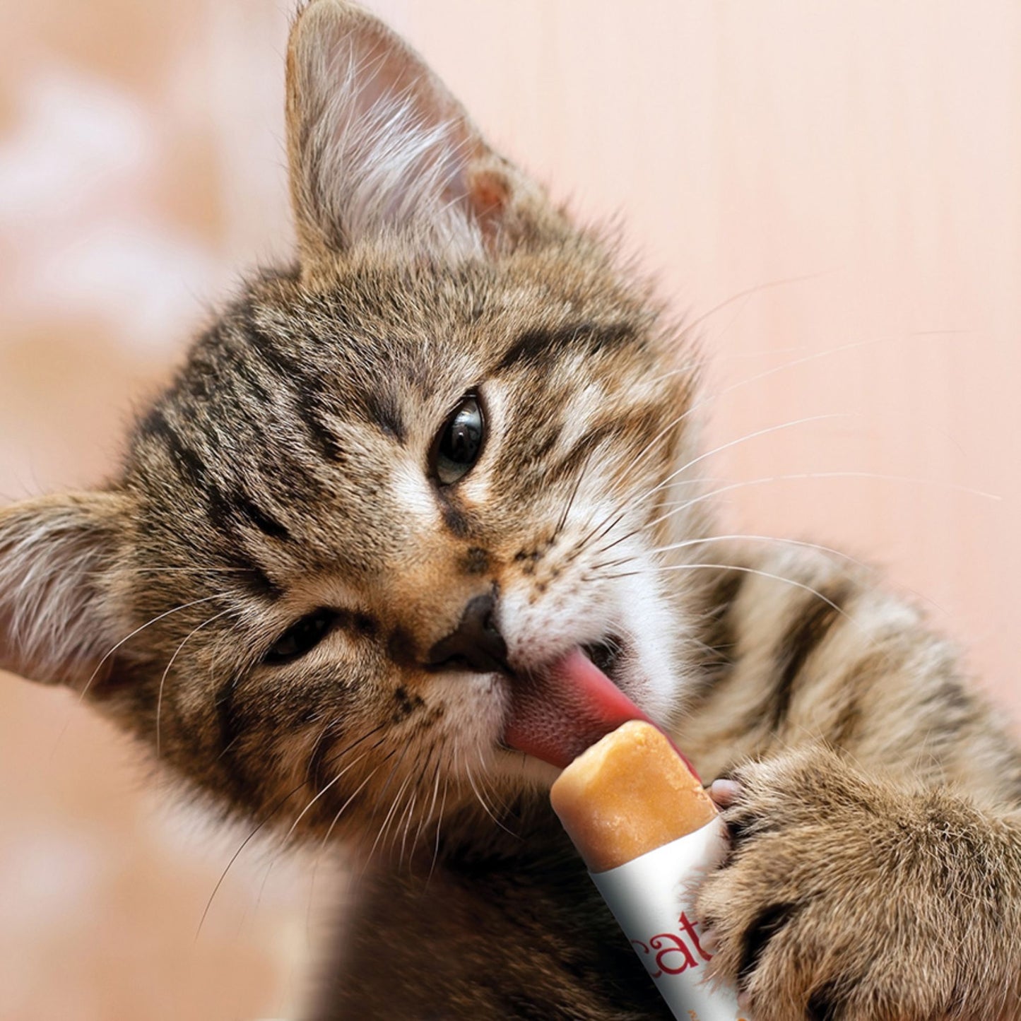 Catit Creamy Lickable Cat Treats With Chicken & Lamb -  4x10g