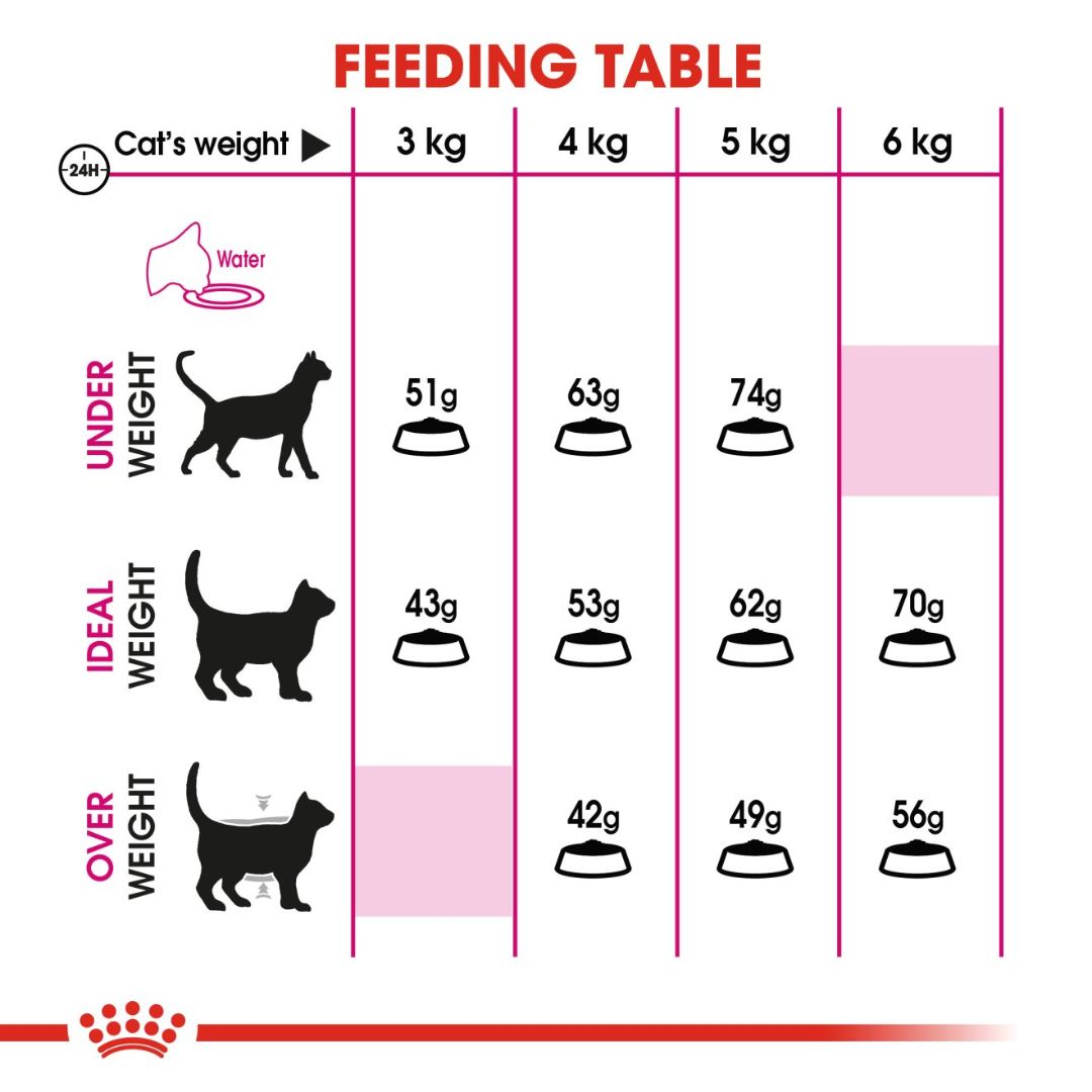 Royal Canin Feline Health Exigent Savour Cat Dry food 4kg