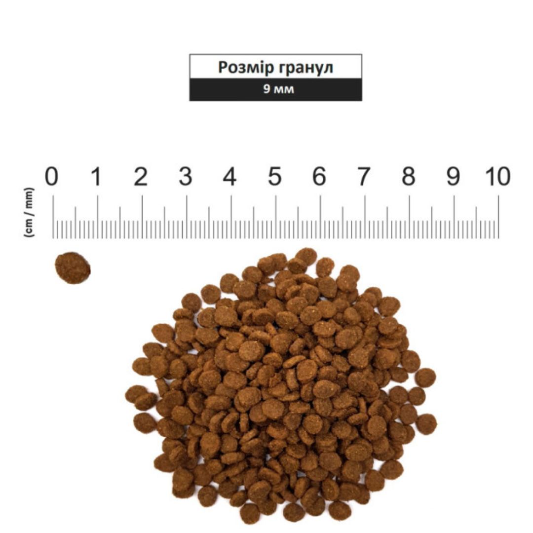 Schesir Adult Dry Cat Food - Chicken Maintenance 10kg