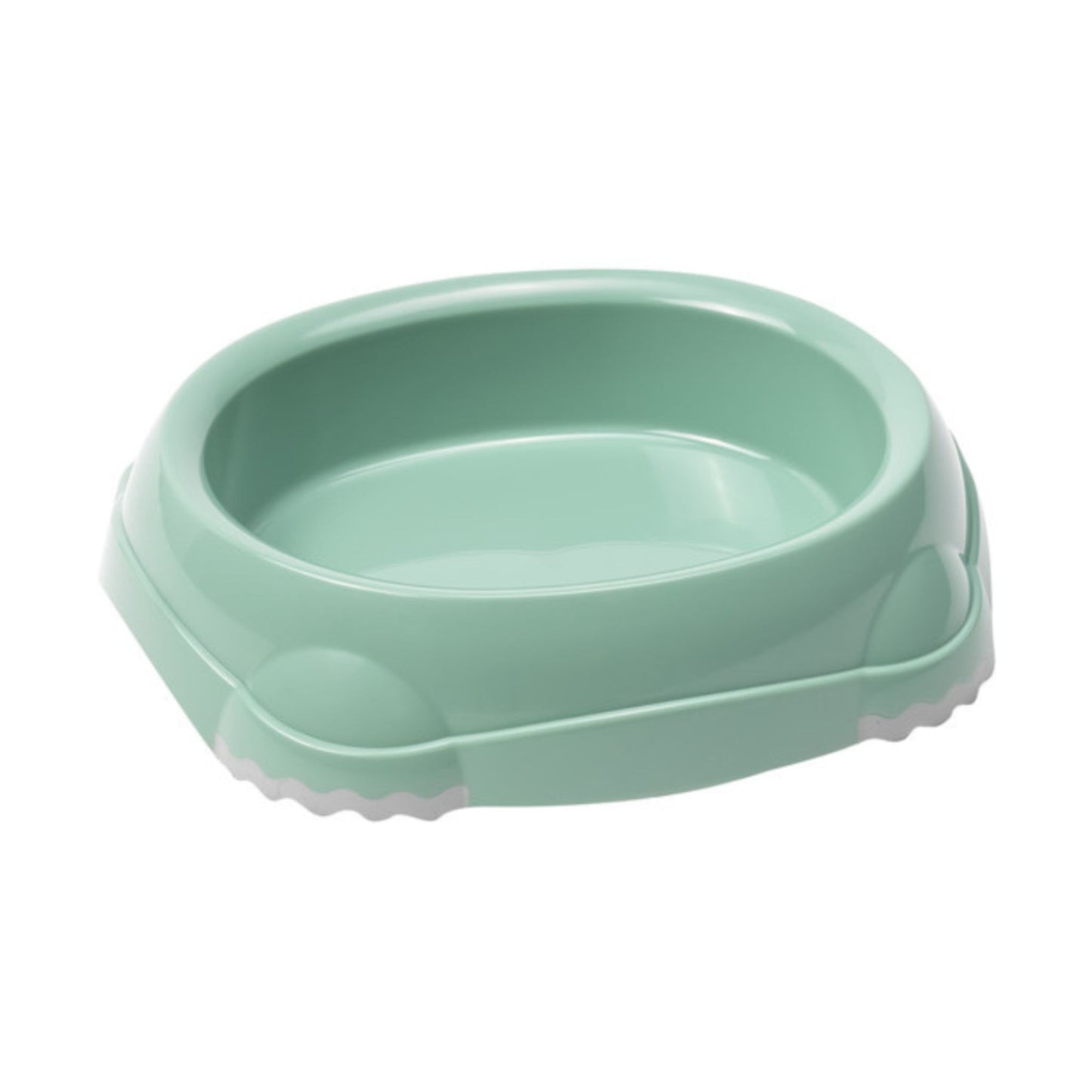 Mint green pet bowl on a white background