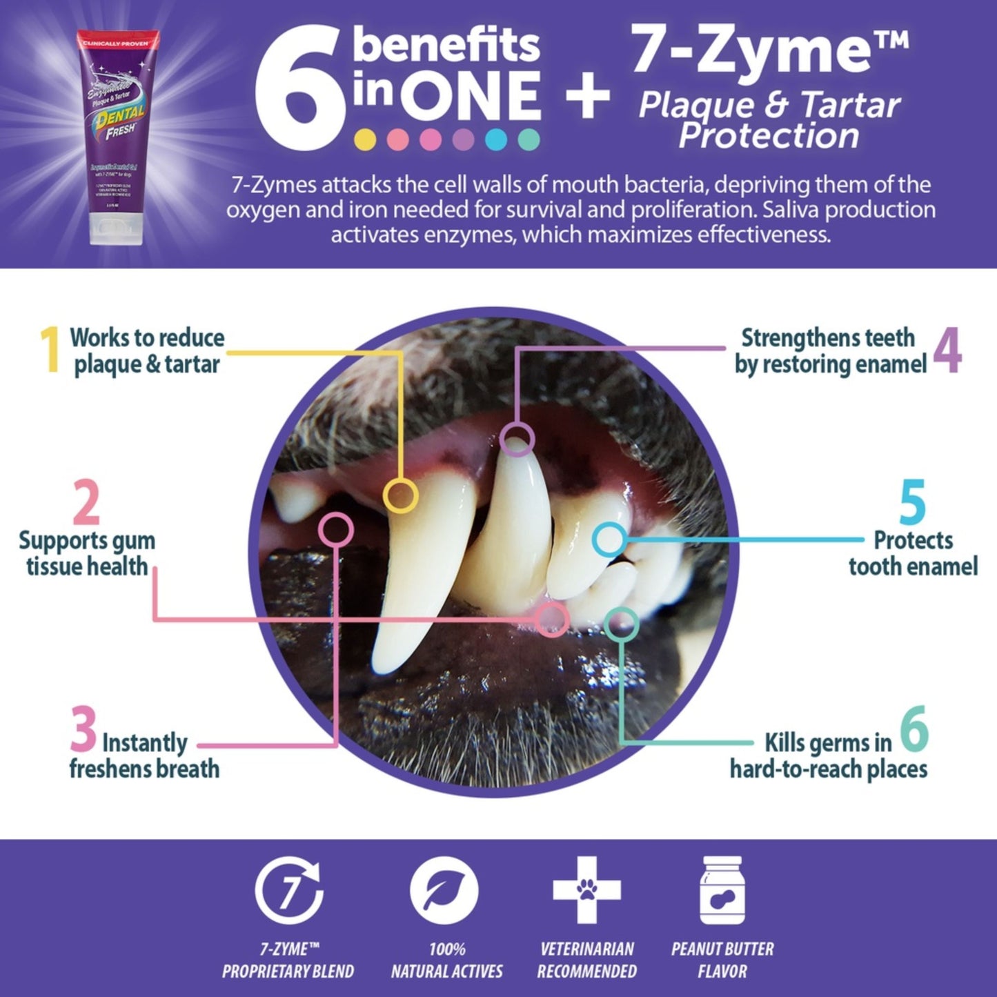 7-Zyme dental care product advertisement with benefits and features.