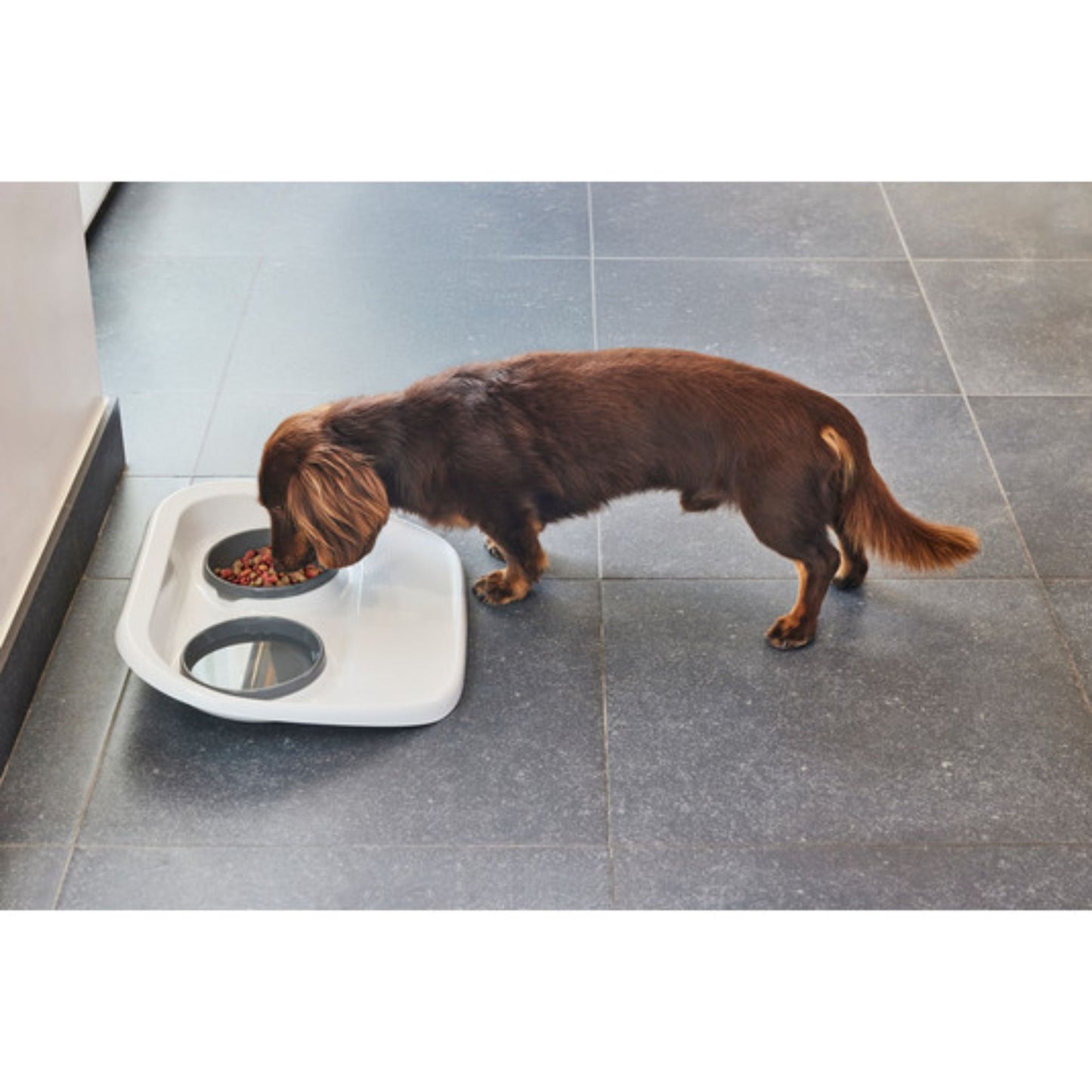 Dog eating from a white pet bowl on a tiled floor