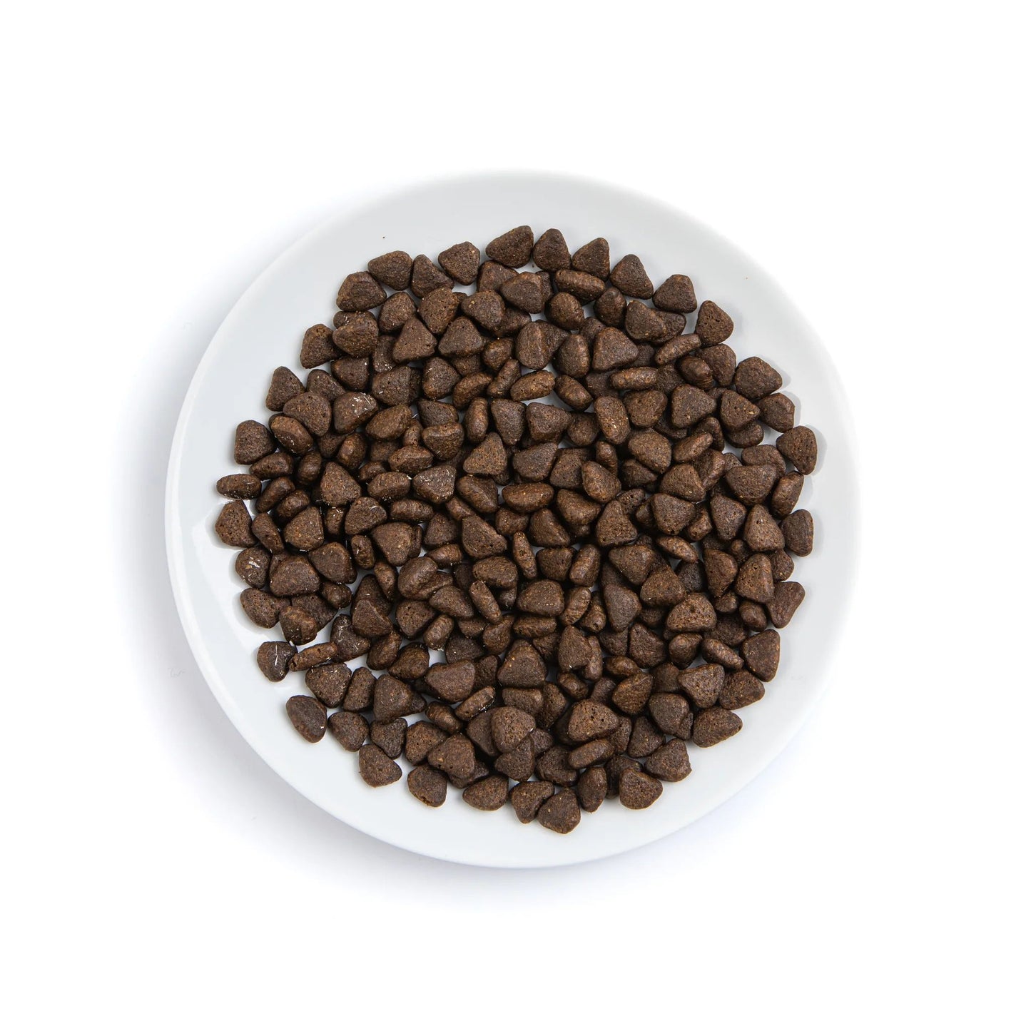 White bowl filled with brown pet food on a white background