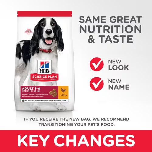 Hills Science Plan Medium Adult Dog Food With Chicken