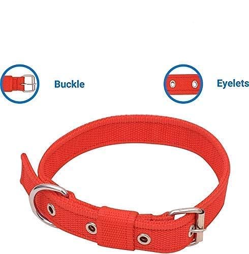 Duvo Chic Leatherette Collar Red - Dog Collar 35 - 42Cm/19Mm Reddimension: 35-42Cm X 19Mm
