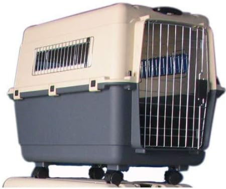 Pet Mode Plastic Transporter Pet Carrier