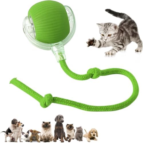 Petbroo Cat Toy Chase Ball Pb84979