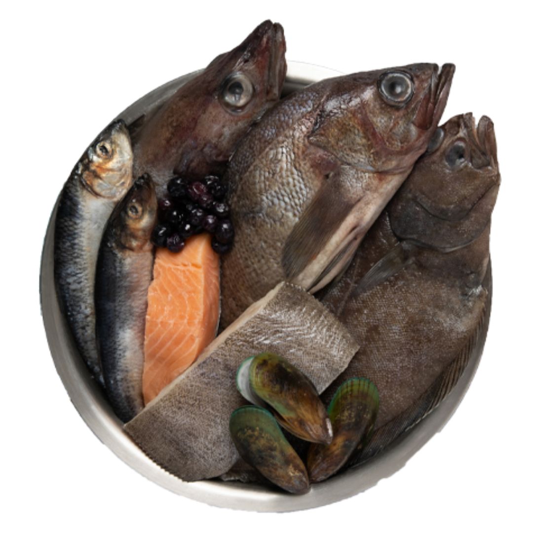 Orijen Marine Fish Small Breed 1.8Kg