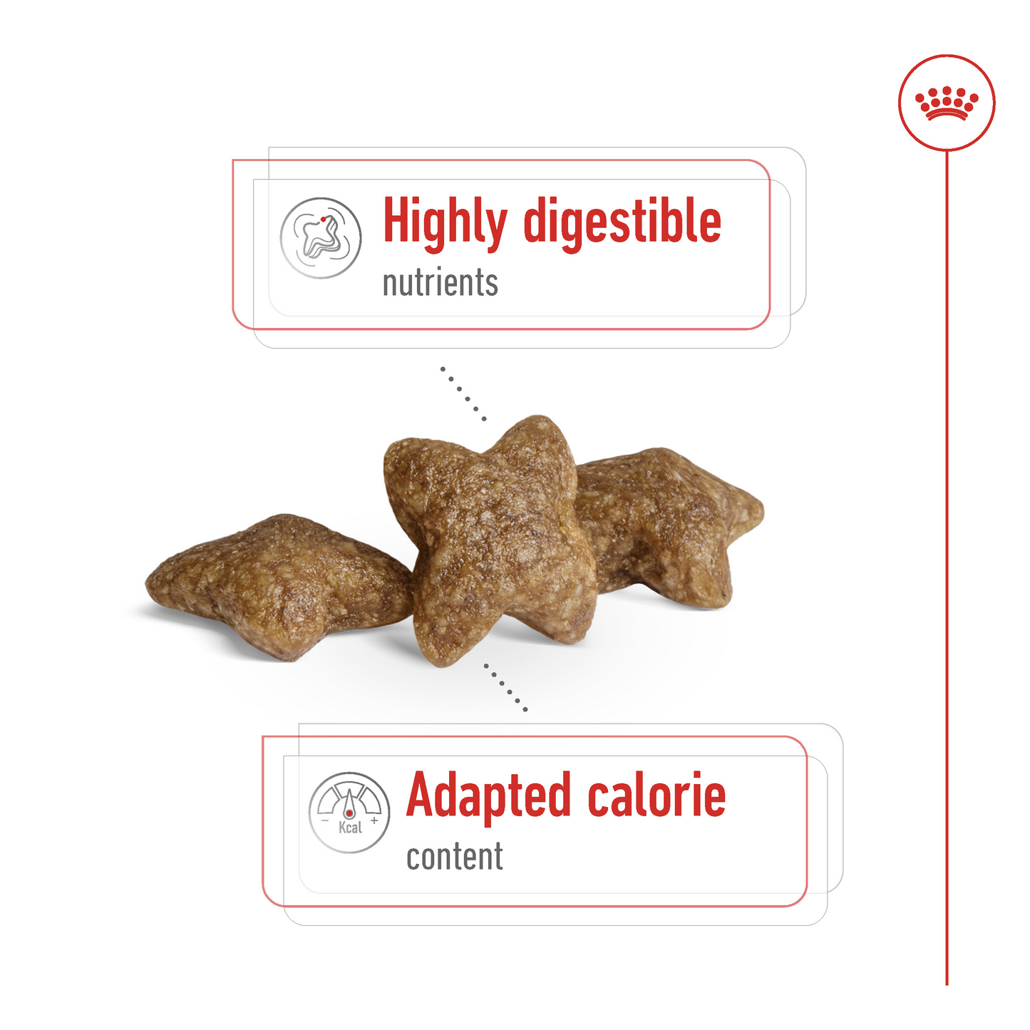 Royal Canin Size Health Mini Adult Dry Dog Food 8kg