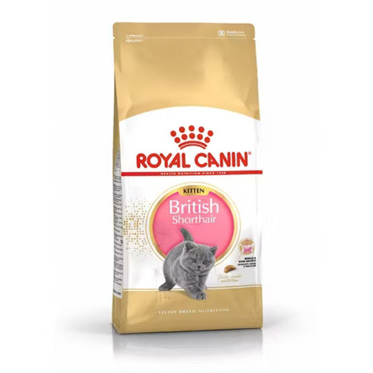 Royal Canin Feline Breed Nutrition British Shorthair Kitten Dry Food 2kg