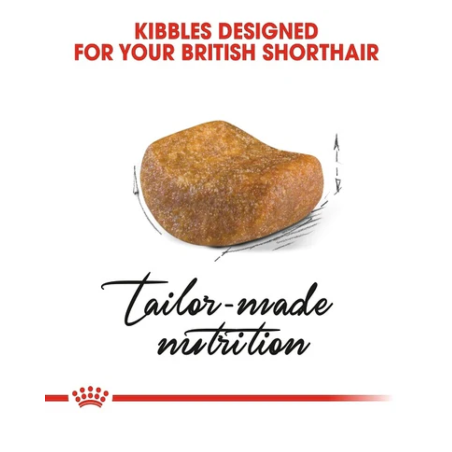 Royal Canin Feline Breed Nutrition British Shorthair Adult Dry Food